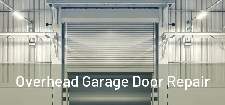 Overhead Garage Door Repair